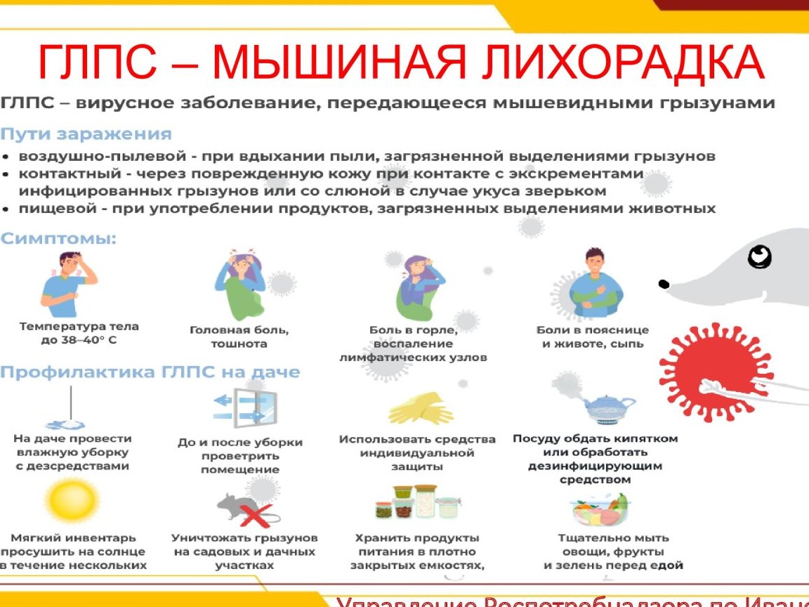 Информационная листовка о профилактики ГЛПС.