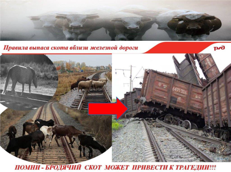Информация. Информация.